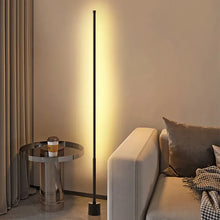 Nordic Led Floor Lamps Acrylic Standing Wall Corner Ambient Lighting